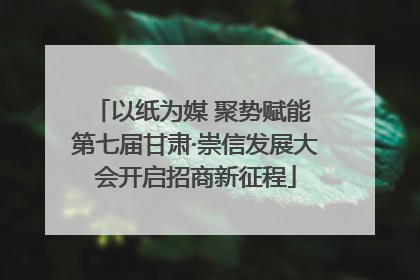 以纸为媒 聚势赋能 第七届甘肃·崇信发展大会开启招商新征程
