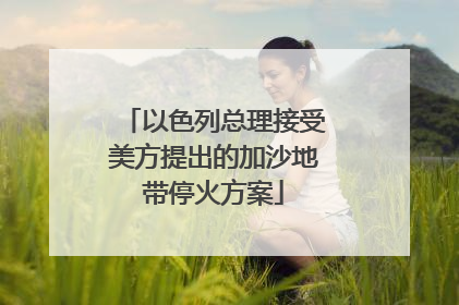 以色列总理接受美方提出的加沙地带停火方案