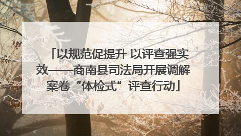 以规范促提升 以评查强实效——商南县司法局开展调解案卷“体检式”评查行动