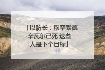 以防长：穆罕默德·辛瓦尔已死 这些人是下个目标