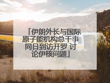伊朗外长与国际原子能机构总干事同日到访开罗 讨论伊核问题