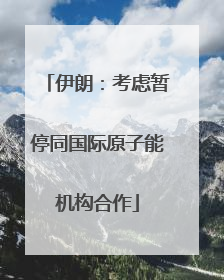 伊朗：考虑暂停同国际原子能机构合作