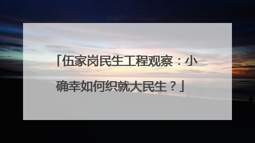 伍家岗民生工程观察：小确幸如何织就大民生？