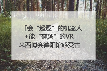 会“巡逻”的机器人+能“穿越”的VR 来西博会德阳馆感受古蜀文明与现代智造的时空对话｜西博视界