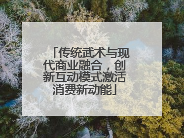 传统武术与现代商业融合，创新互动模式激活消费新动能