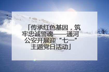 传承红色基因，筑牢忠诚警魂——通河公安开展迎“七一”主题党日活动