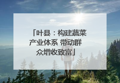 叶县：构建蔬菜产业体系 带动群众增收致富