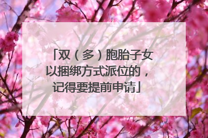 双（多）胞胎子女以捆绑方式派位的，记得要提前申请