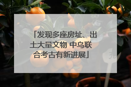 发现多座房址、出土大量文物 中乌联合考古有新进展
