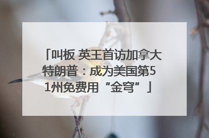 叫板 英王首访加拿大 特朗普：成为美国第51州免费用“金穹”