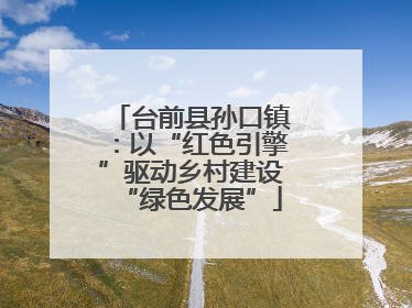 台前县孙口镇：以“红色引擎”驱动乡村建设“绿色发展”
