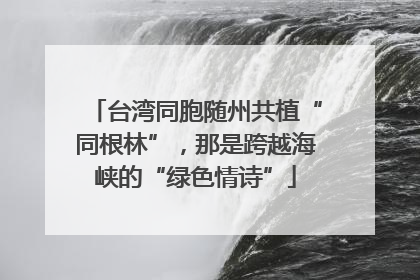 台湾同胞随州共植“同根林”，那是跨越海峡的“绿色情诗”