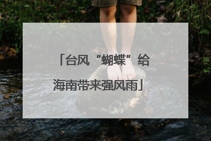 台风“蝴蝶”给海南带来强风雨