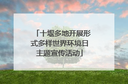 十堰多地开展形式多样世界环境日主题宣传活动