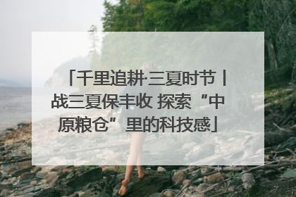 千里追耕·三夏时节丨战三夏保丰收 探索“中原粮仓”里的科技感
