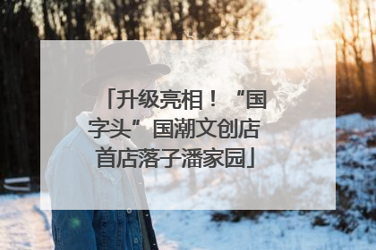 升级亮相！“国字头”国潮文创店首店落子潘家园