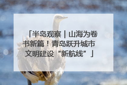半岛观察｜山海为卷书新篇！青岛跃升城市文明建设“新航线”