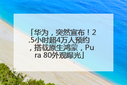 华为，突然宣布！2.5小时超4万人预约，搭载原生鸿蒙，Pura 80外观曝光