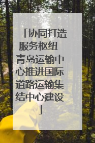 协同打造服务枢纽 青岛运输中心推进国际道路运输集结中心建设