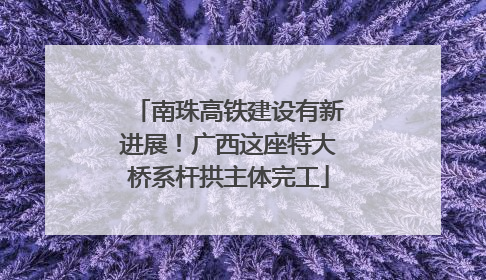 南珠高铁建设有新进展！广西这座特大桥系杆拱主体完工