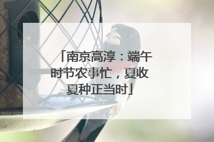 南京高淳：端午时节农事忙，夏收夏种正当时