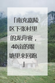 南充嘉陵区下张村里的龙舟赛，40亩的堰塘里来回跑