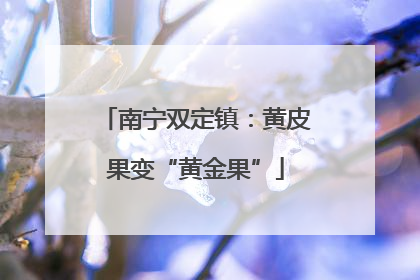 南宁双定镇：黄皮果变“黄金果”