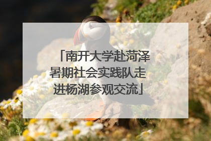 南开大学赴菏泽暑期社会实践队走进杨湖参观交流