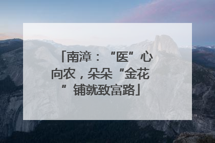 南漳：“医”心向农，朵朵“金花”铺就致富路