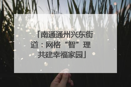 南通通州兴东街道：网格“智”理 共建幸福家园
