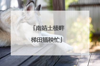 南靖土楼畔 梯田插秧忙