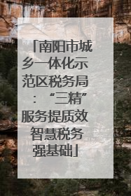 南阳市城乡一体化示范区税务局：“三精”服务提质效 智慧税务强基础