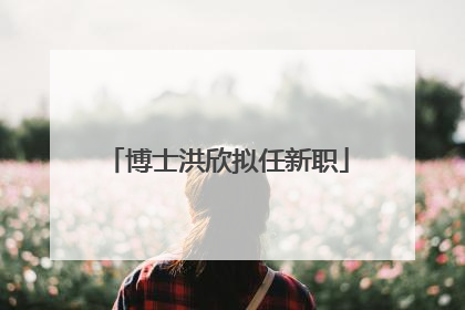 博士洪欣拟任新职