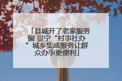 县城开了老家服务窗 景宁“村事社办”城乡集成服务让群众办事更便利