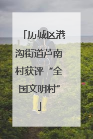 历城区港沟街道芦南村获评“全国文明村”
