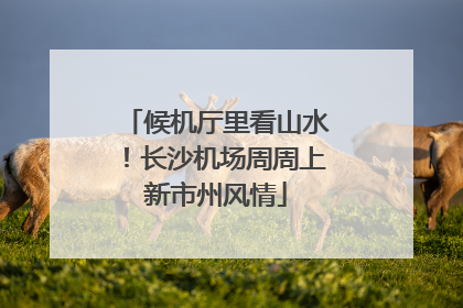 候机厅里看山水！长沙机场周周上新市州风情