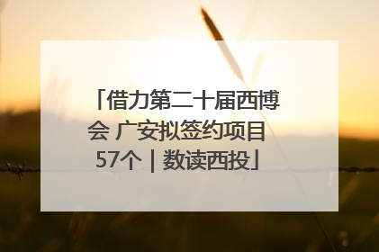 借力第二十届西博会 广安拟签约项目57个｜数读西投