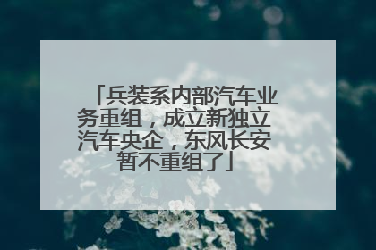 兵装系内部汽车业务重组，成立新独立汽车央企，东风长安暂不重组了