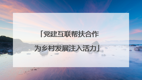 党建互联帮扶合作 为乡村发展注入活力