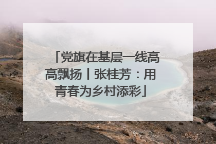 党旗在基层一线高高飘扬丨张桂芳：用青春为乡村添彩