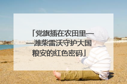 党旗插在农田里——潍柴雷沃守护大国粮安的红色密码