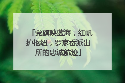 党旗映蓝海，红帆护枢纽，罗家岙派出所的忠诚航迹