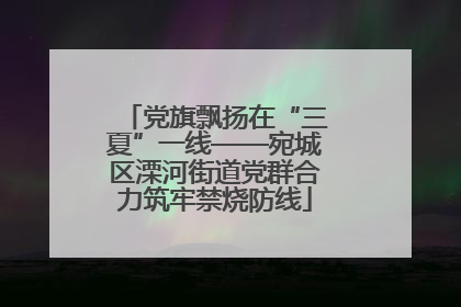 党旗飘扬在“三夏”一线——宛城区溧河街道党群合力筑牢禁烧防线