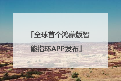 全球首个鸿蒙版智能指环APP发布