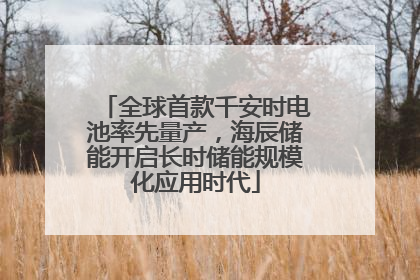全球首款千安时电池率先量产，海辰储能开启长时储能规模化应用时代