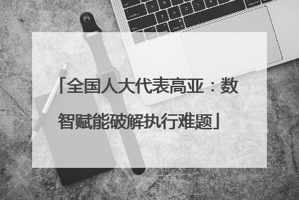 全国人大代表高亚：数智赋能破解执行难题