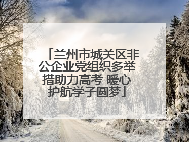 兰州市城关区非公企业党组织多举措助力高考 暖心护航学子圆梦
