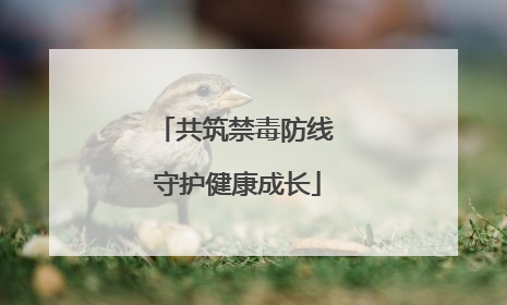 共筑禁毒防线 守护健康成长