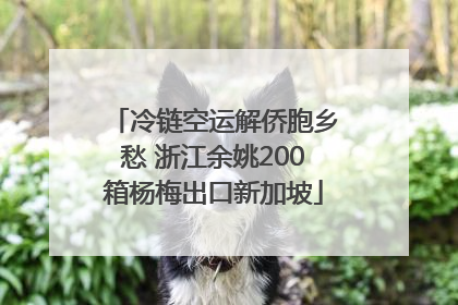 冷链空运解侨胞乡愁 浙江余姚200箱杨梅出口新加坡