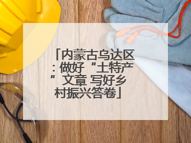 内蒙古乌达区：做好“土特产”文章 写好乡村振兴答卷